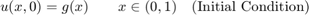$$u(x,0) = g(x) \qquad x\in (0,1) \quad\mbox{(Initial Condition)}$$